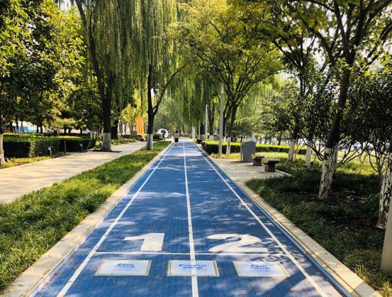 家門(mén)口的智能步道——南京花神湖智能體育公園正式開(kāi)園啦！
