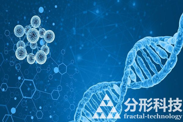 醫(yī)院網站建設：數(shù)字化健康服務新模式